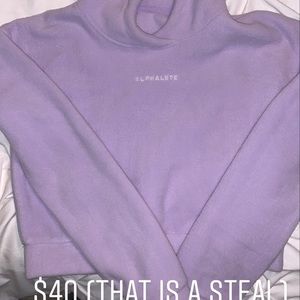 Alphalete Crop Hoodie